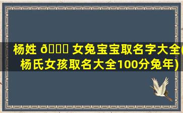 杨姓 🐒 女兔宝宝取名字大全(杨氏女孩取名大全100分兔年)